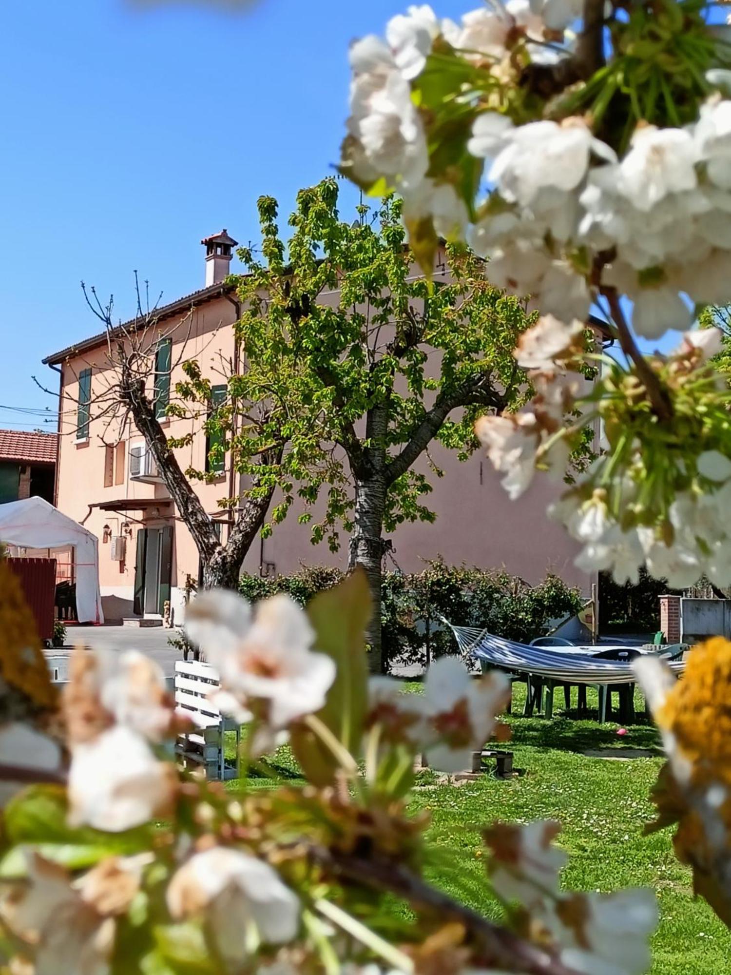 La Casa Della Nonna Bed & Breakfast Brisighella Luaran gambar